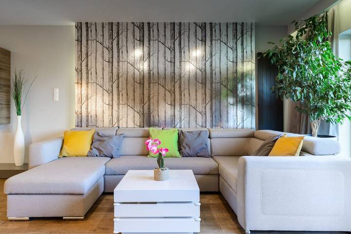 Loft dla 6 osób, z balkon/ taras, zwierzęta dozwolone w Łódź