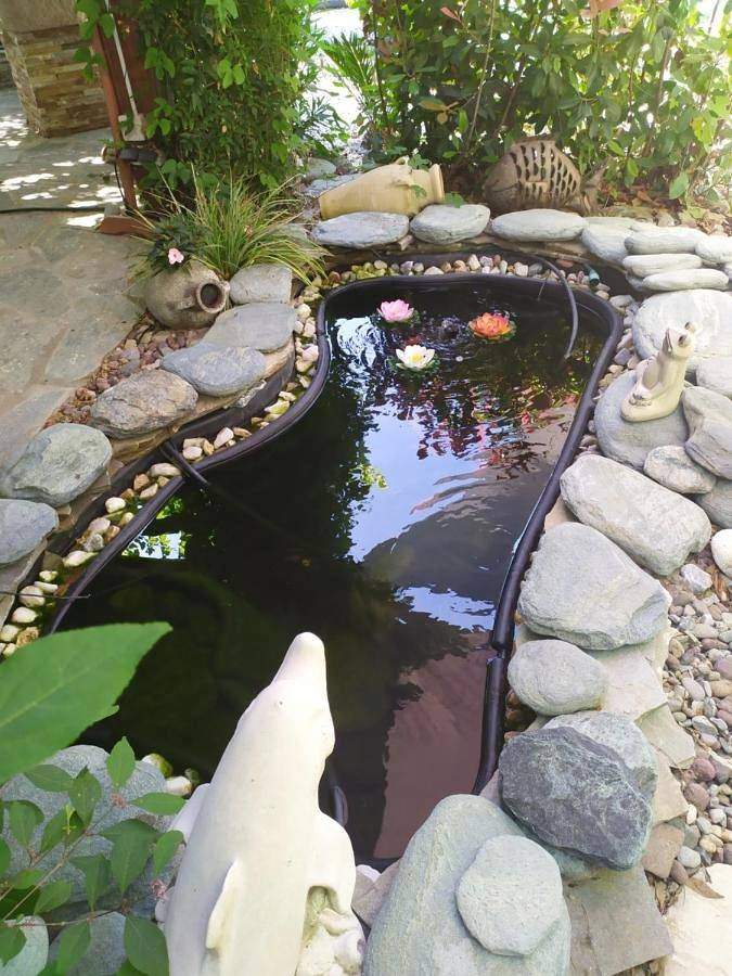 Location de vacances pour 2 personnes, avec jardin et vue à Patrimonio - 3