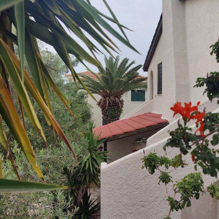 Location de vacances pour 4 personnes, avec terrasse et jardin dans Égine - 2