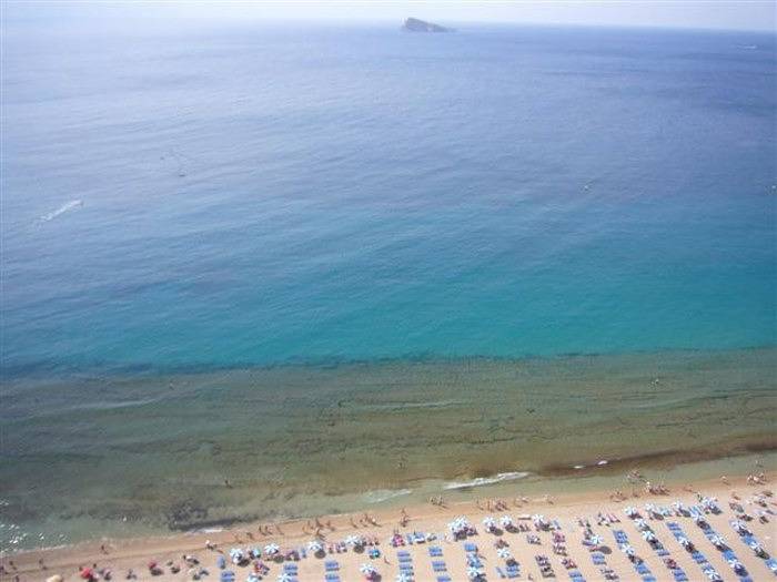 Apartamento entero, Torre Levante 6B in Playa de Levante, Costa Blanca