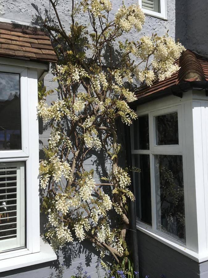 Gîte pour 2 personnes, avec terrasse et vue à Rye - 2