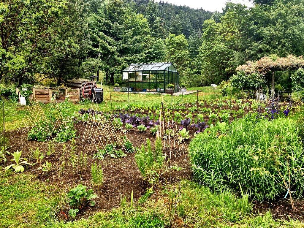 Cottage-in-the-Barn auf Libellenfarm in Orcas Island