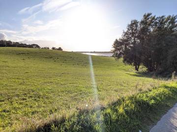 Ferieudlejning til 5 Personer i Bogø, Svenske Østersøen, Billede 3