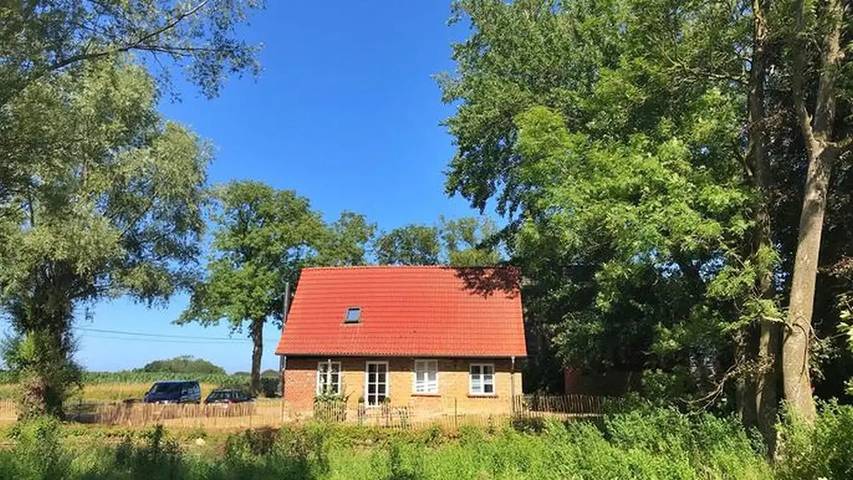 Ferienhaus für 5 Personen, mit Sauna und Garten in Lohme - 3