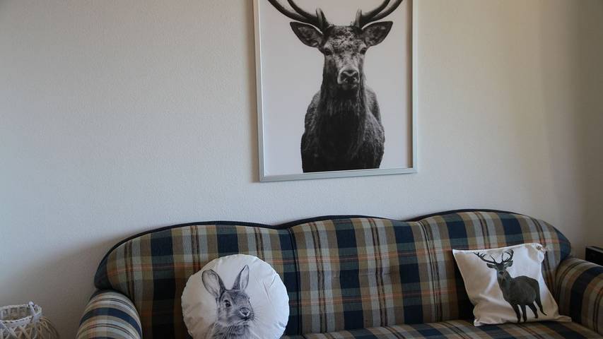 Ferienwohnung für 4 Personen, mit Garten, mit Haustier in Braunlage - 3