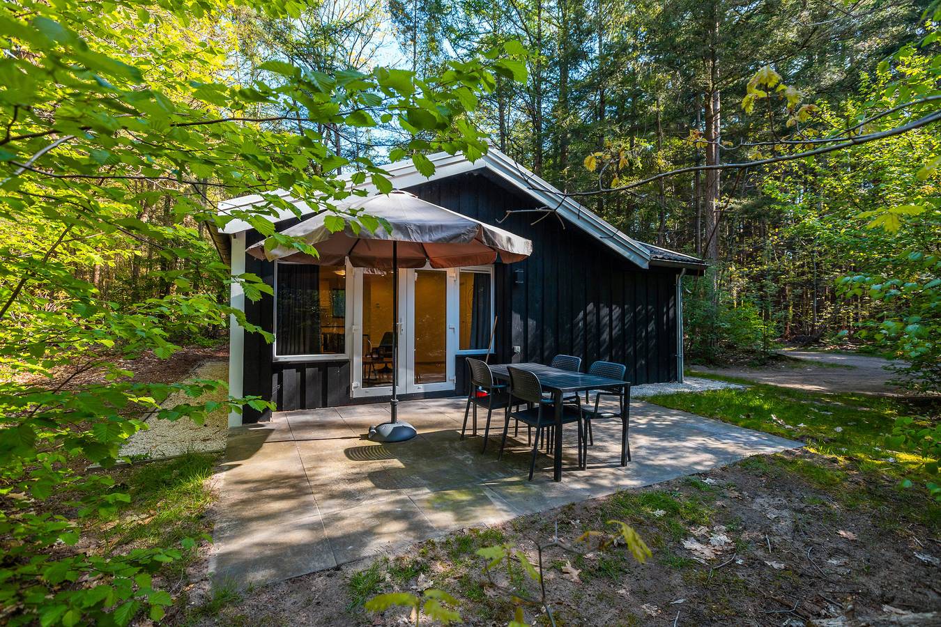 Vakantiepark De Wiltzangh — Houtenborg Lodge | 4 personen in Nationaal Park Dwingelderveld