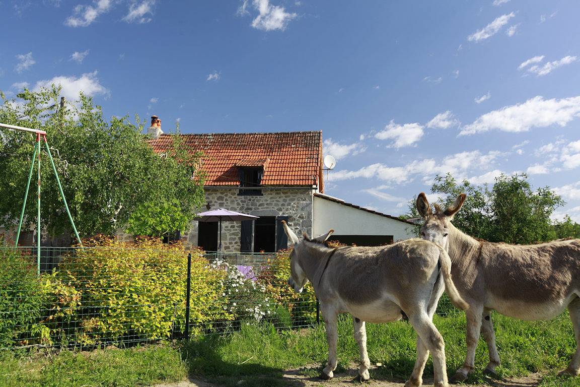 Gîte avec piscine privée chauffée (32°) et Spa Gite Naturiste in Labesserette, Région d'Aurillac