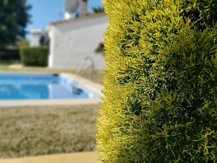 Holiday home for 4 people, with Terrace and Garden as well as Pool in San Pedro de Alcántara