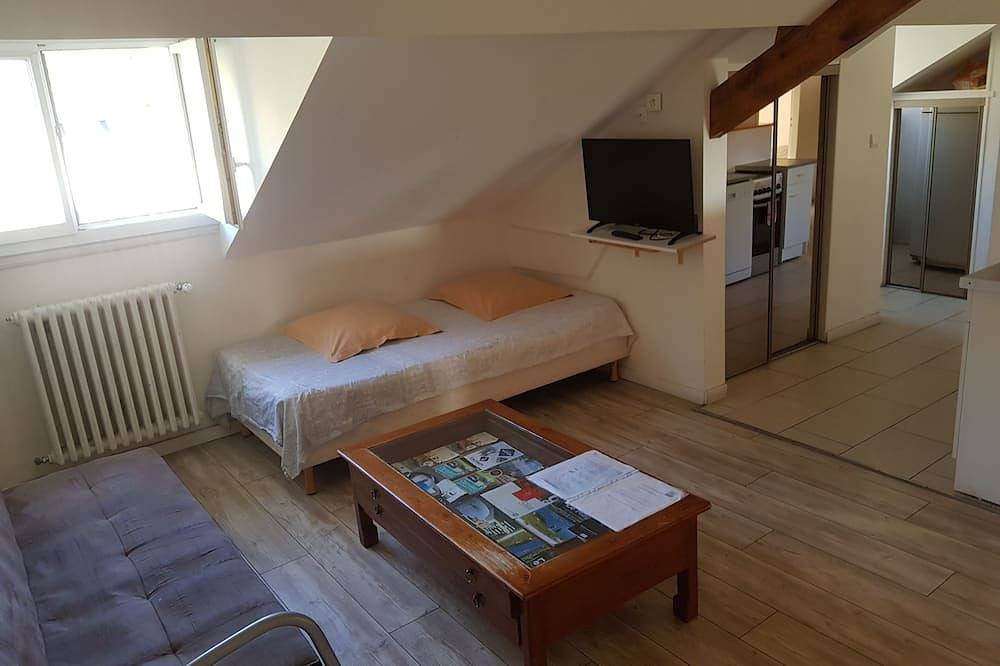 Geheel appartement, Grand T4 Proche Santuaires in Lourdes, Hautes-Pyreneeën
