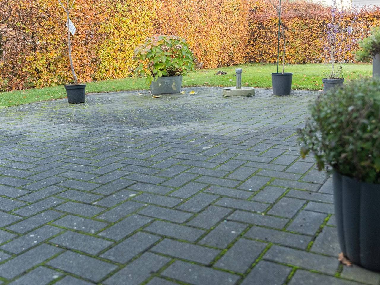 Ganze Ferienwohnung, Ferienwohnung Auszeit mit Waldgeflüster 35231 - Ferienwohnung Auszeit mit Waldgeflüster in Hesel, Nordseeküste