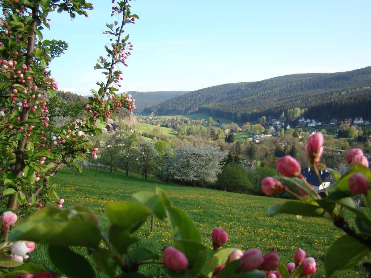 Ganze Wohnung, Apartment with Mountain View in Rittersgrün, Breitenbrunn / Erzgebirge