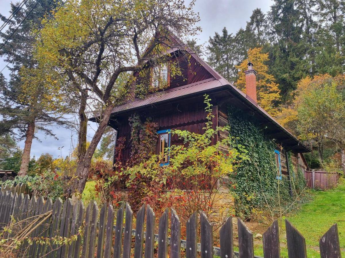 Chalet in Karpaty (Polska)