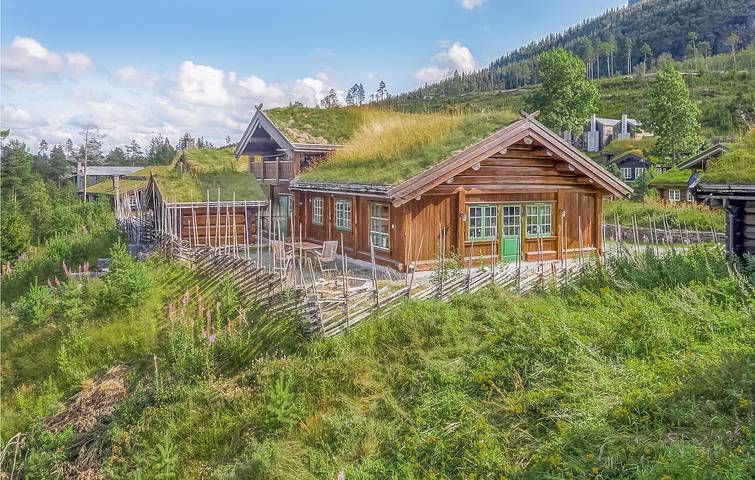 Ferienhaus für 12 Personen, mit Terrasse und Garten sowie Sauna in Hemsedal - 4
