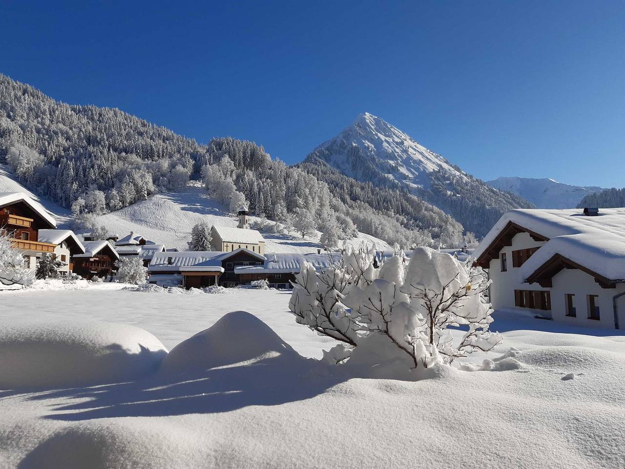 Ganze Ferienwohnung, Geiger Reinhilde - Ferienwohnung Jägerheim - Ferienwohnung 1 in Schoppernau, Bregenzerwald