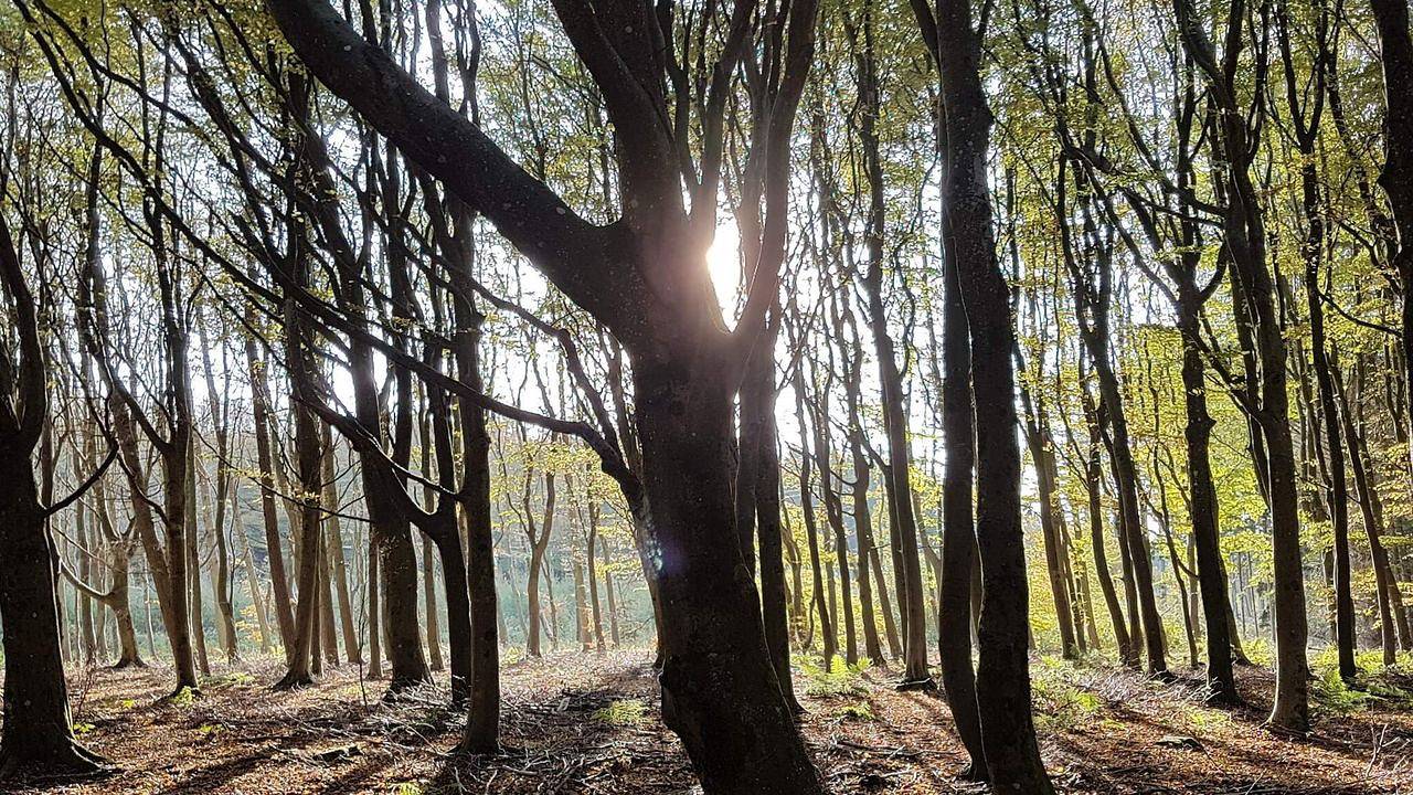 Ferienhaus für 6 Personen (95 m²) in Blokhus in Hune, Jammerbugt