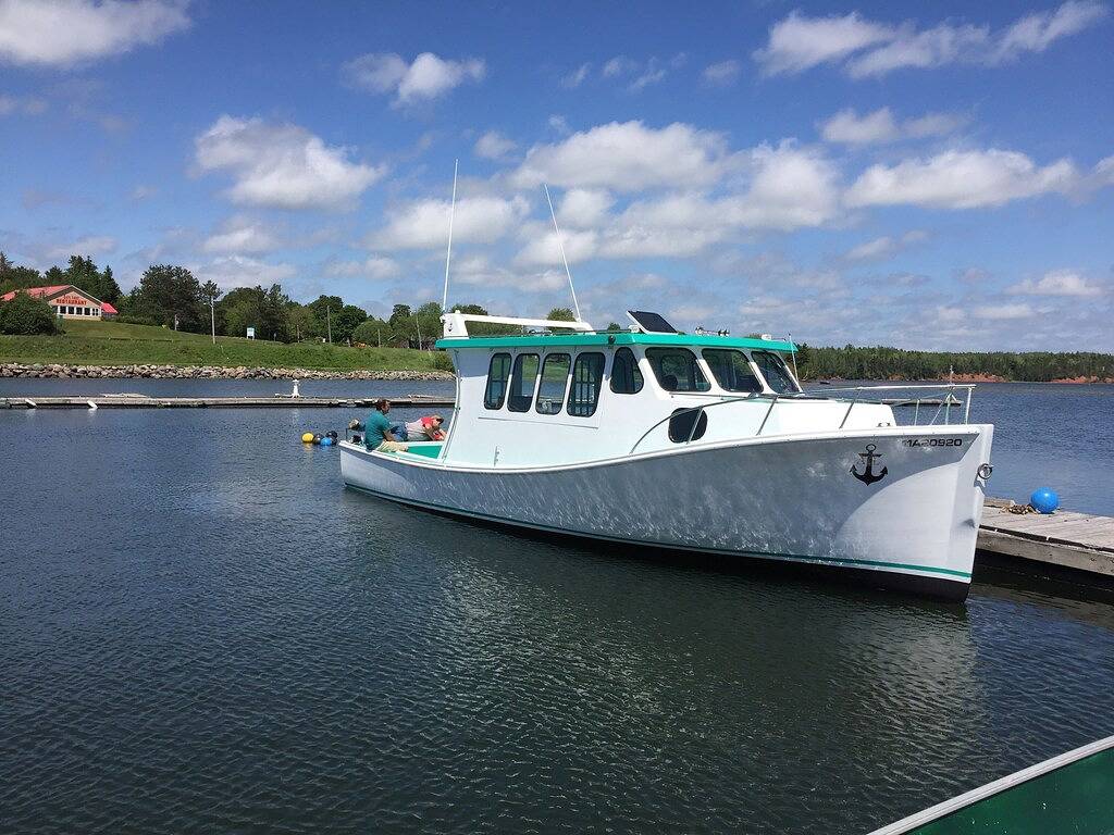 Ganze Wohnung, Brandneu, offene Konzept River Suite in Cardigan, Kings County (Kanada)