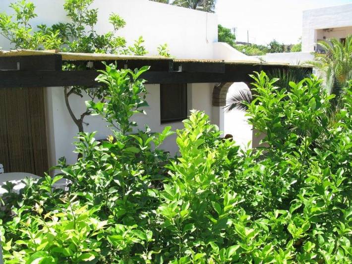 Gîte pour 2 personnes dans Pantelleria - 4