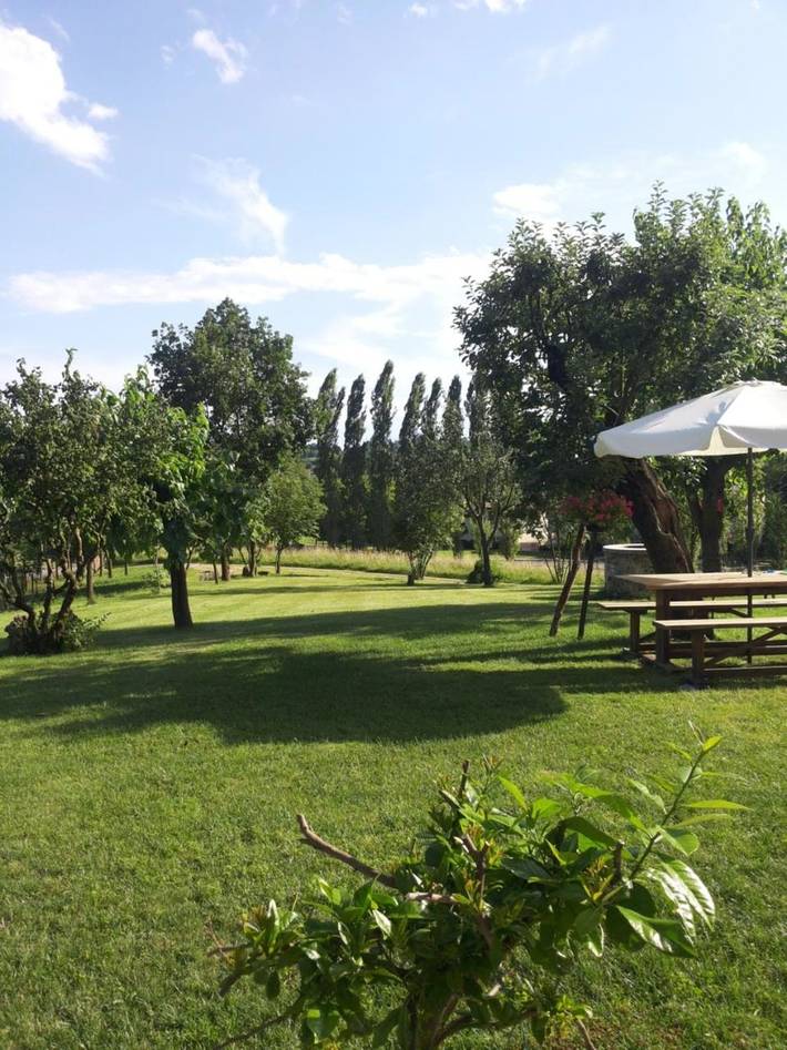 Location de vacances pour 3 personnes, avec vue et jardin à Pederobba