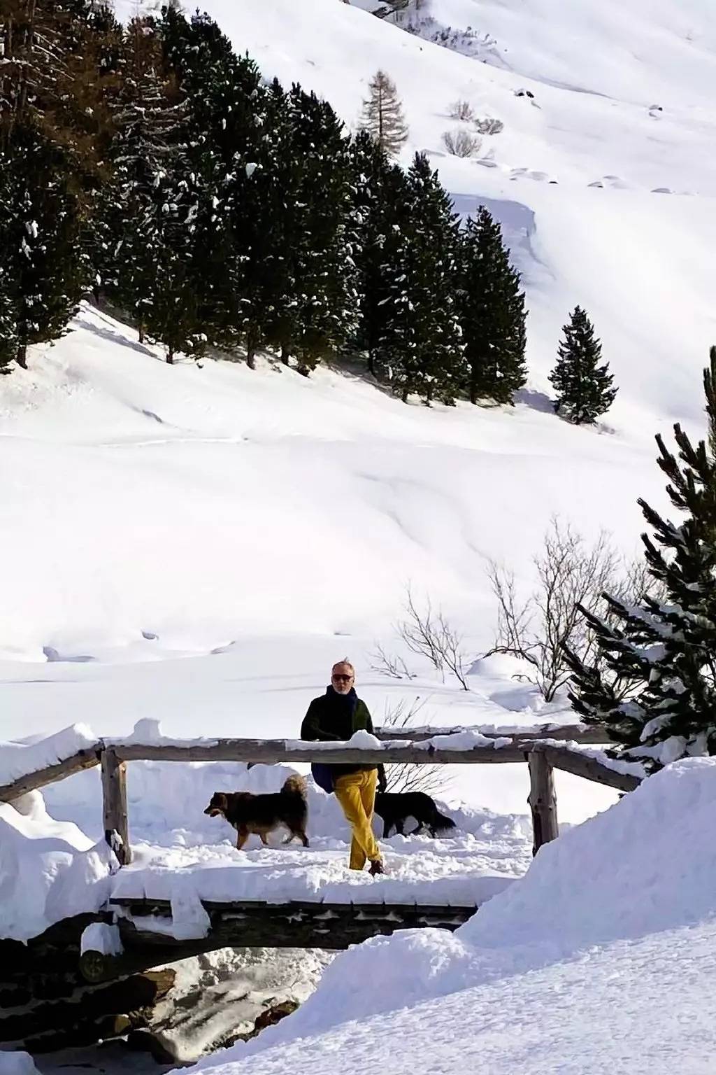 Ganze Wohnung, 6 Zimmer 4 Personen in La Punt-Chamues-ch, Sankt Moritz