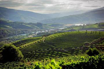 Casa de huéspuedes para 2 personas, con jardín y piscina además de sauna y jacuzzi en Región Norte (Portugal)
