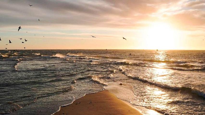 Ferienhaus für 3 Personen, mit Balkon und Pool sowie Whirlpool und Sauna in Nordjütland - 4