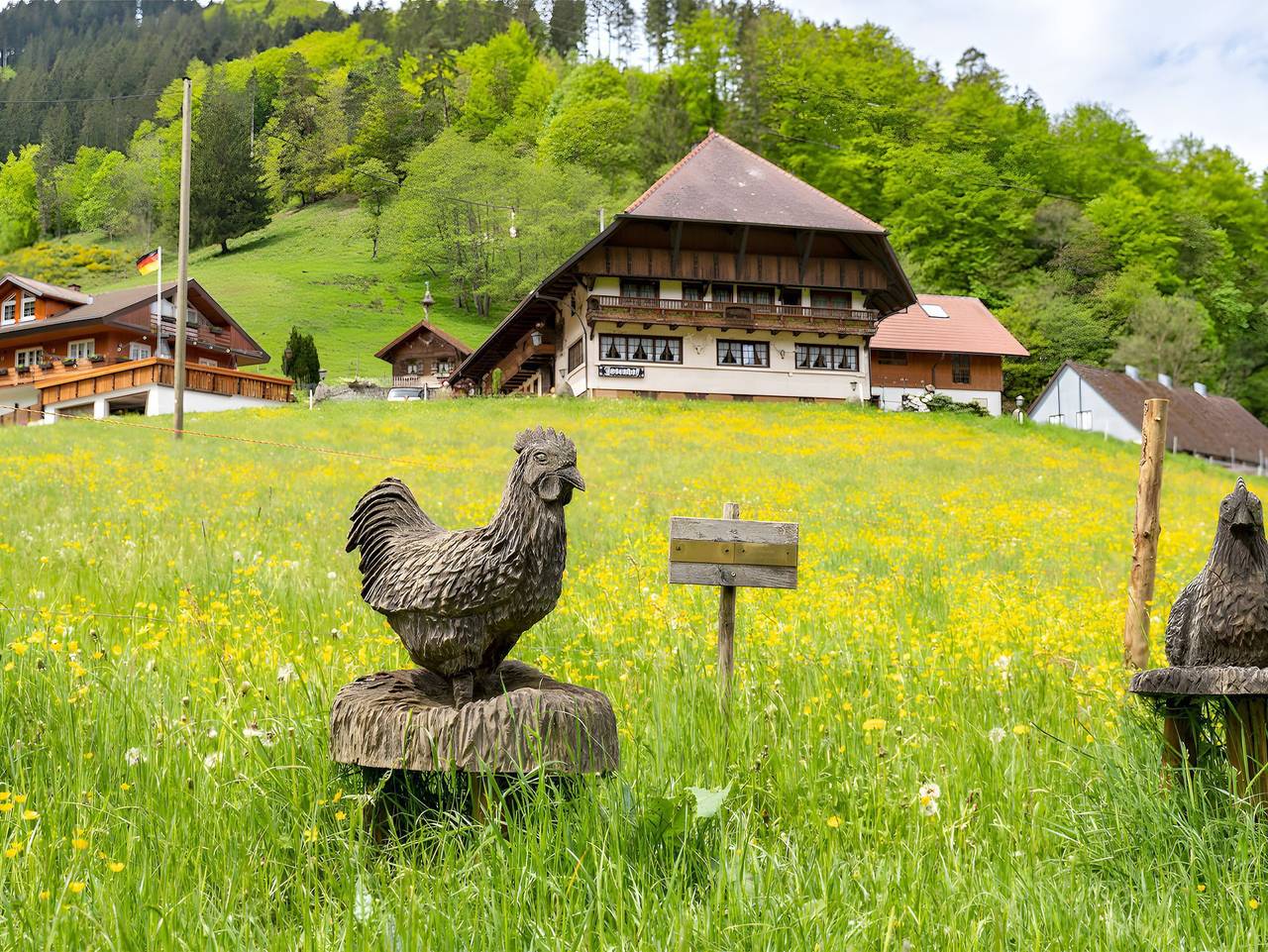 Ganze Ferienwohnung, Josenhof - Ferienwohnung Hofblick in Wolfach, Kinzigtal