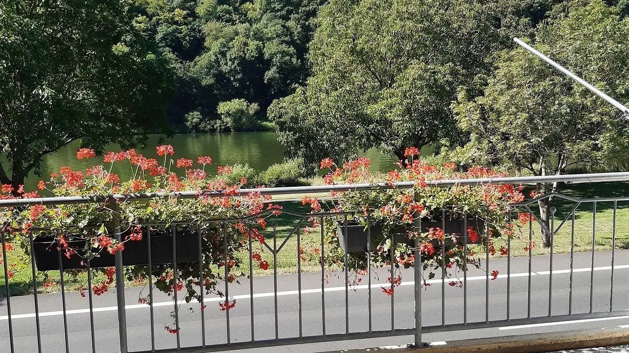 Apartamento vacacional entero, Ferienwohnung für 2 Personen (45 m²) in Ediger-Eller in Ediger-Eller, Cochem-Zell