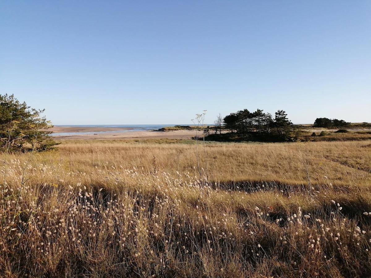Maison avec jardin à la campagne in Port-Bail-sur-Mer, Côte de la Déroute