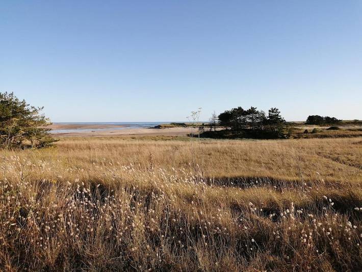 Location de vacances pour 6 personnes, avec jardin à Saint-Lô-d'Ourville - 2