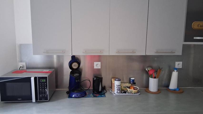 Location de vacances pour 4 personnes, animaux acceptés à Vendeuvre-sur-Barse - 2