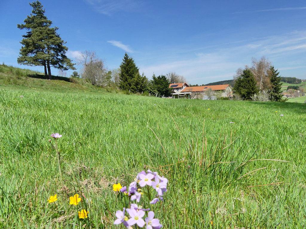 Gîte de la Gelée in Marlhes, Parc Naturel Régional du Pilat