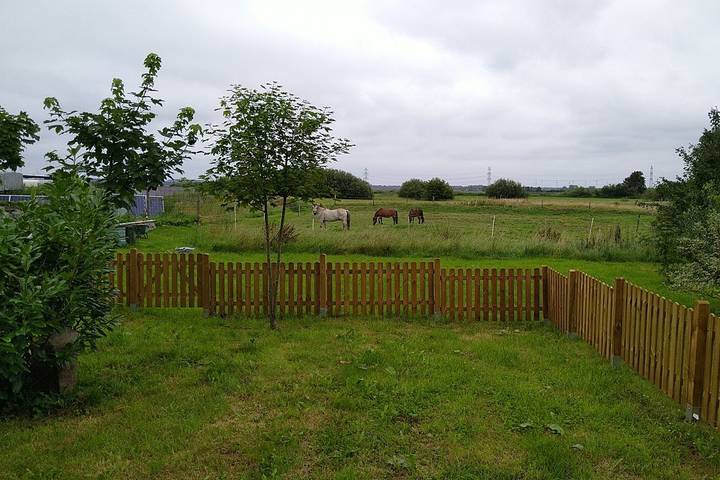 Ferienwohnung für 4 Personen, mit Garten und Terrasse, mit Haustier in Hattstedtermarsch - 2