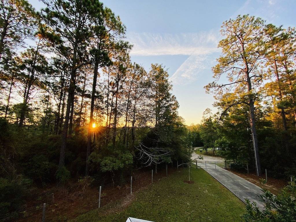 Sugarberry Cabin in Sam Rayburn Reservoir