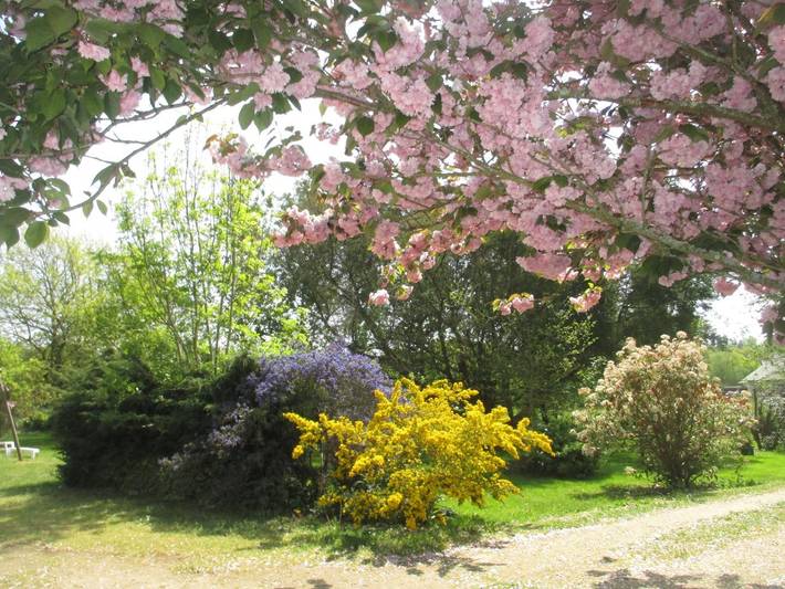 Gîte pour 5 personnes, avec terrasse et jardin à Carnac - 3