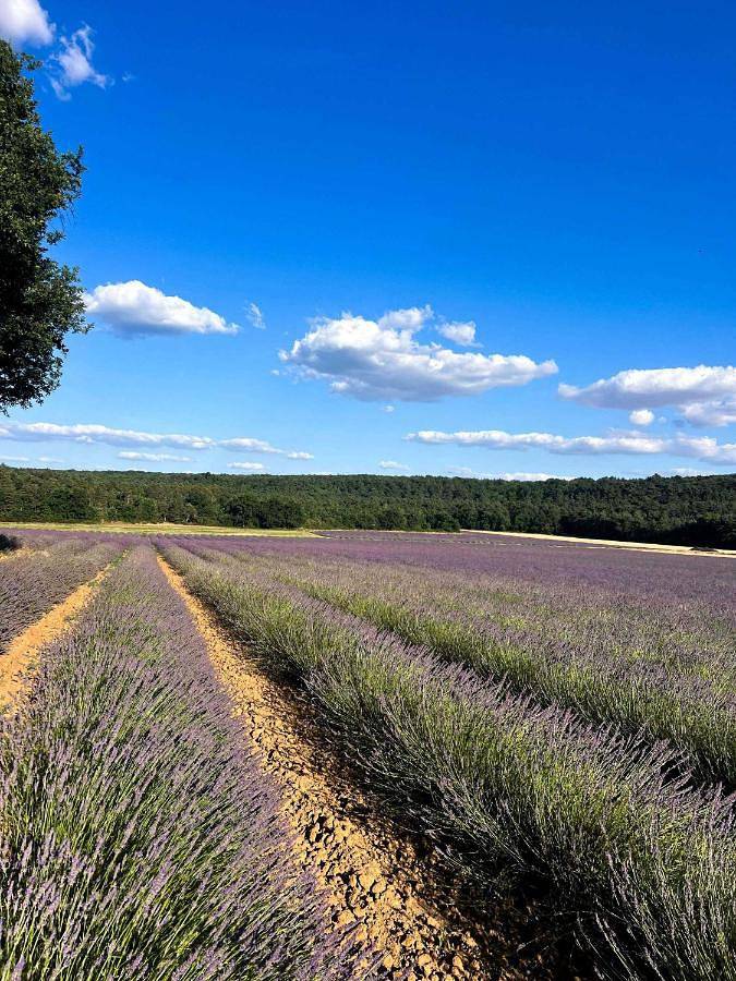 Location de vacances pour 8 personnes, avec jardin et sauna à Le Vaudoué - 4
