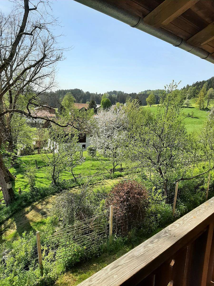 Ferienhaus Piller - Ferienwohnung mit Balkon in Viechtach, Ostbayern