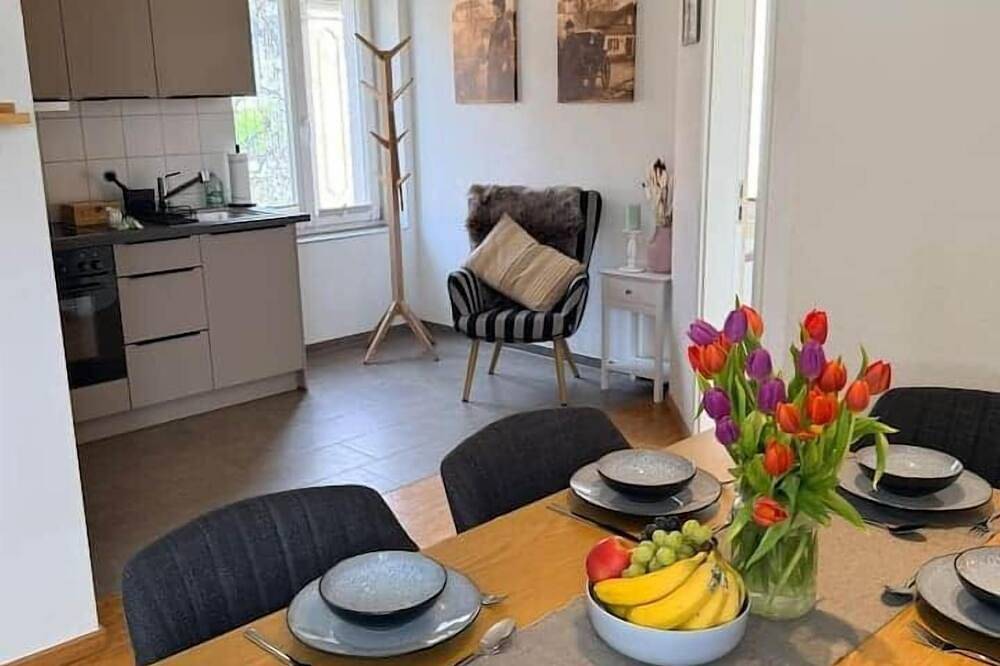 Ganze Wohnung, Der Kutscher · Schlössle Lodge am Rhein in Laufenburg, Hochschwarzwald