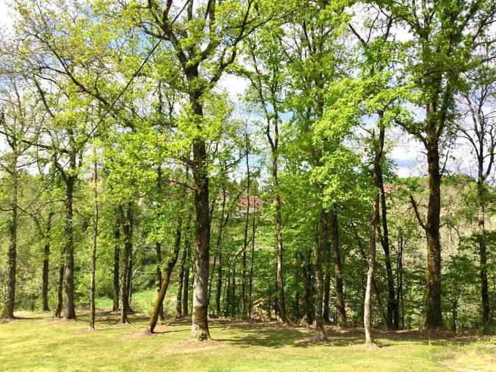 Location de vacances pour 8 personnes, avec terrasse et vue ainsi que jardin et piscine à Calès - 4
