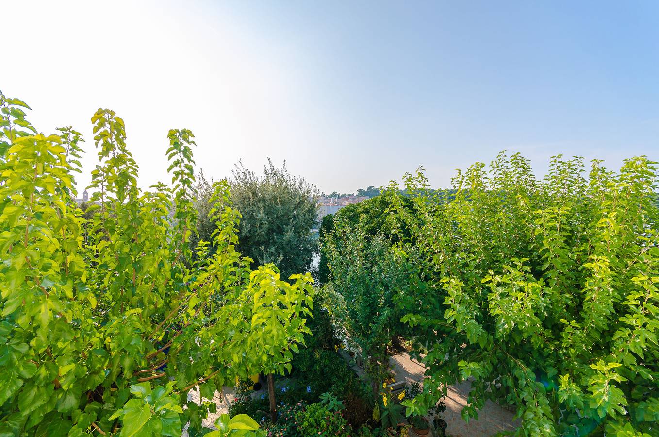 Ganze Wohnung, Apartments Zarko in Banjol, Rab