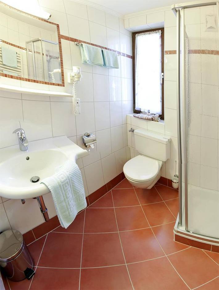 Ferienwohnung für 3 Personen, mit Sauna und Terrasse sowie Garten in Radstadt - 2