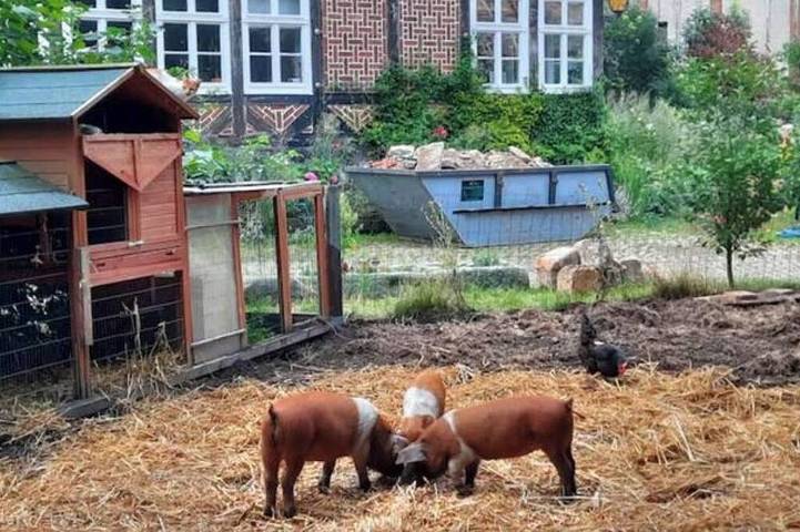 Ganze Wohnung, Rote Wohnung auf dem Gutshof in Nordstemmen, Landkreis Hildesheim