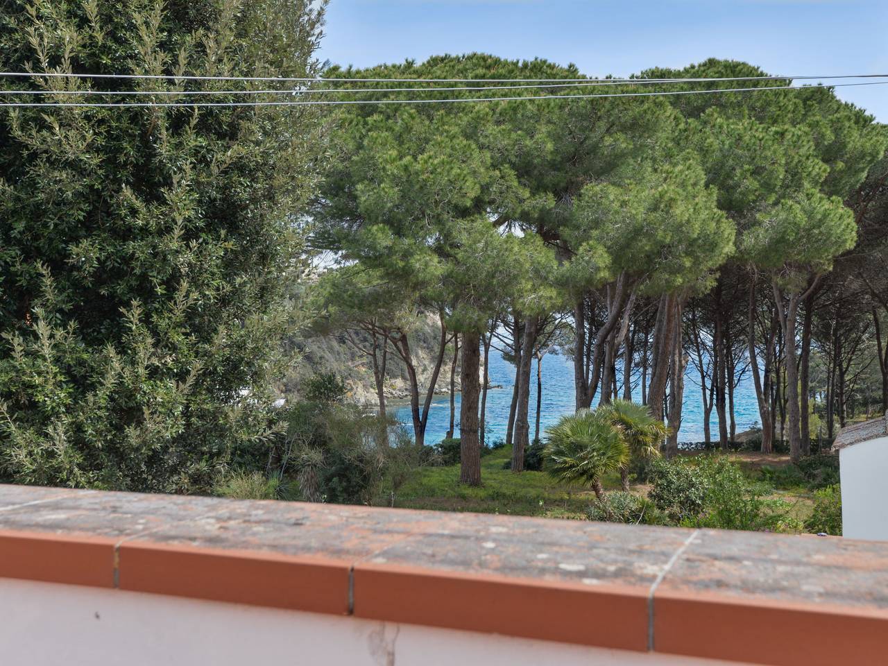 Wendy in Cavo, Isola d'Elba