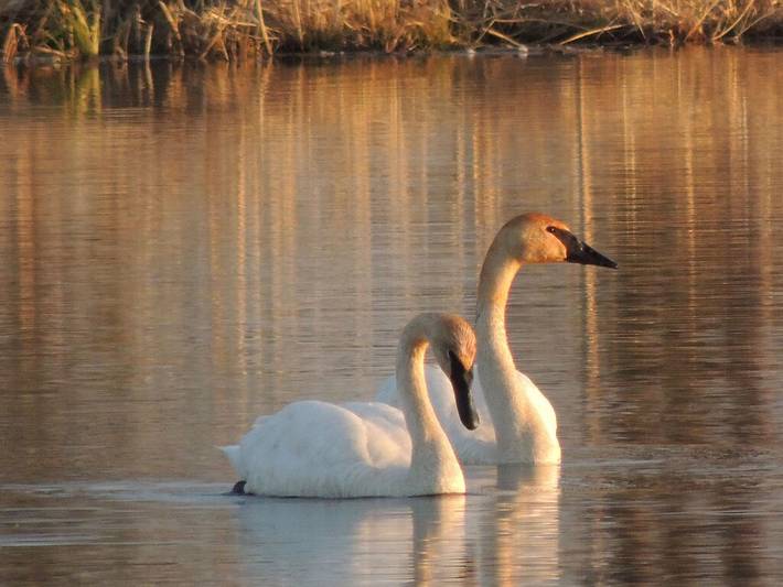 Vacation rental for 8 people, with terrace in Lake Superior