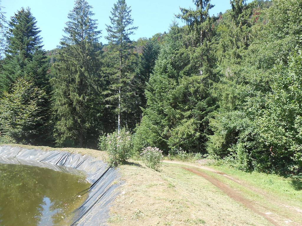 Chalet insolite dans la nature, au bord d'un étang in Mélisey, Parc naturel régional des Ballons des Vosges