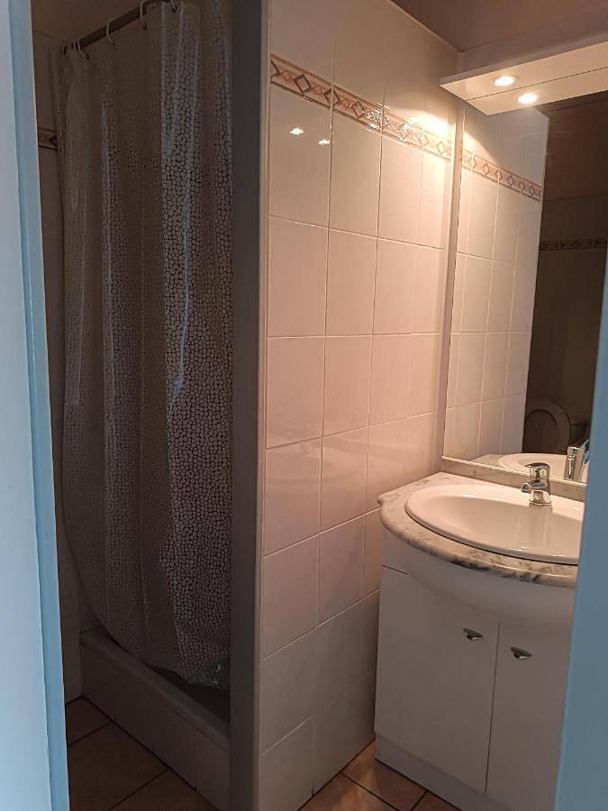 Hôtel pour 4 personnes, avec terrasse, animaux acceptés à Laloubère - 4