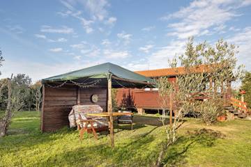 Casa De Vacaciones para 3 Personas en Fermentelos, Distrito de Aveiro, Foto 2