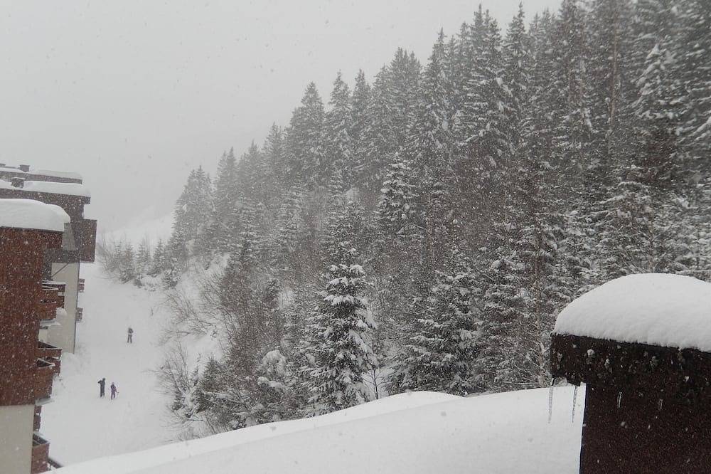 Appartement entier, Studio 4 personnes Le Pleynet/Les 7 Laux pied des pistes (120kms de pistes) in La Ferrière, Le Pleynet Les Sept Laux