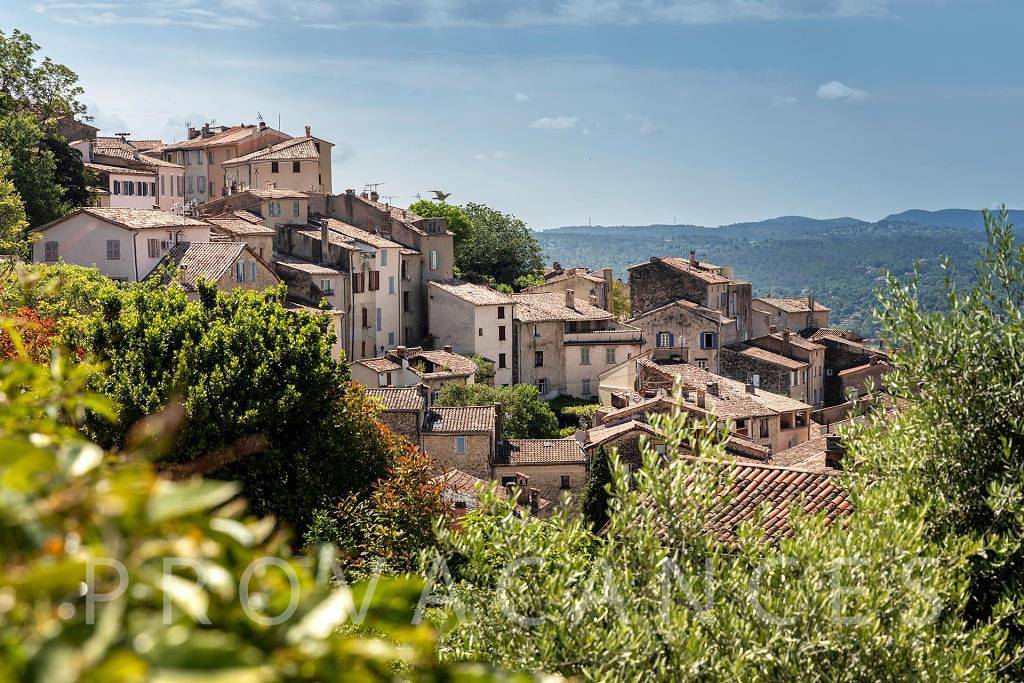 Charming holiday home with pool within walking distance to Fayence in Fayenza, Region de Draguignan