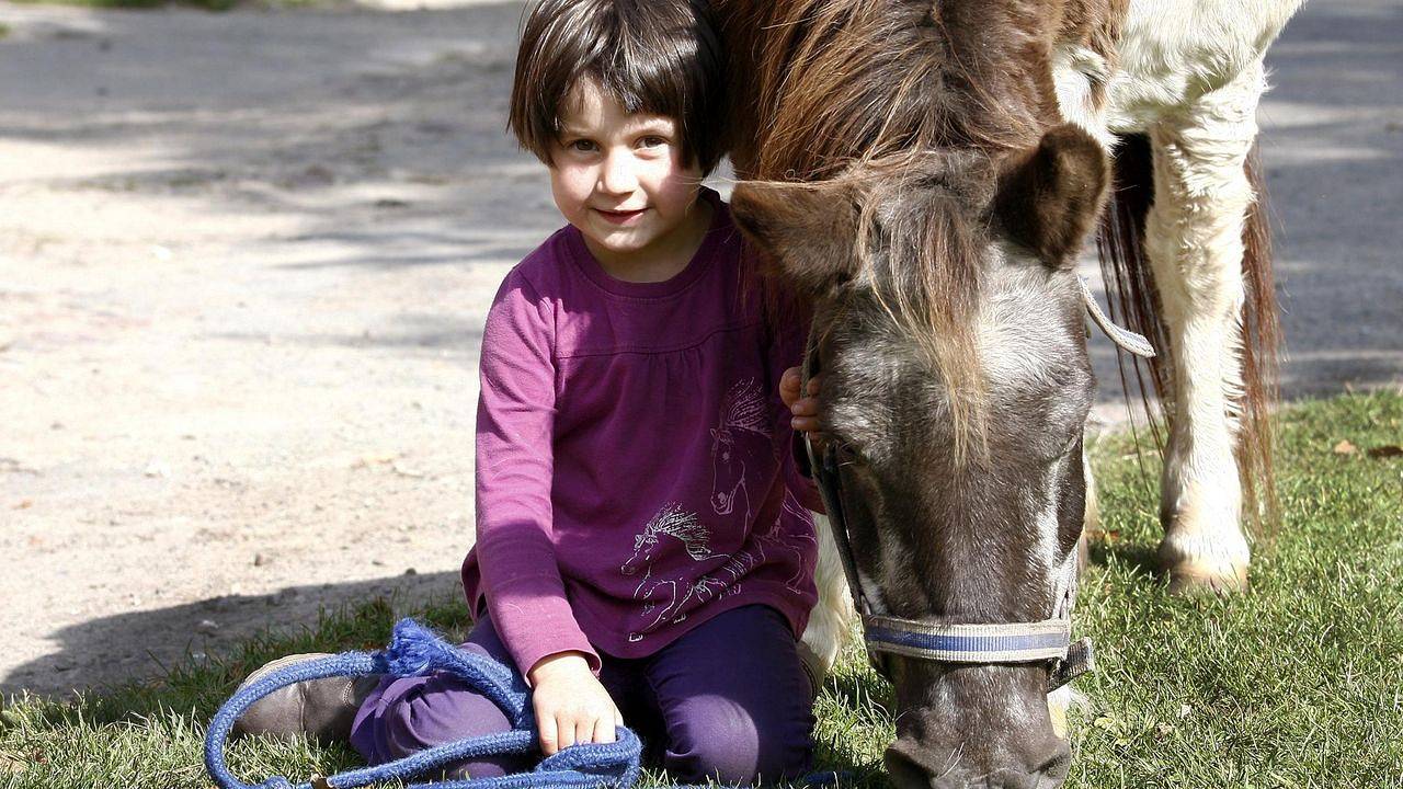 Ganze Ferienwohnung, Ferienwohnung für 4 Personen (60 m²) in Bispingen in Bispingen, Nordheide