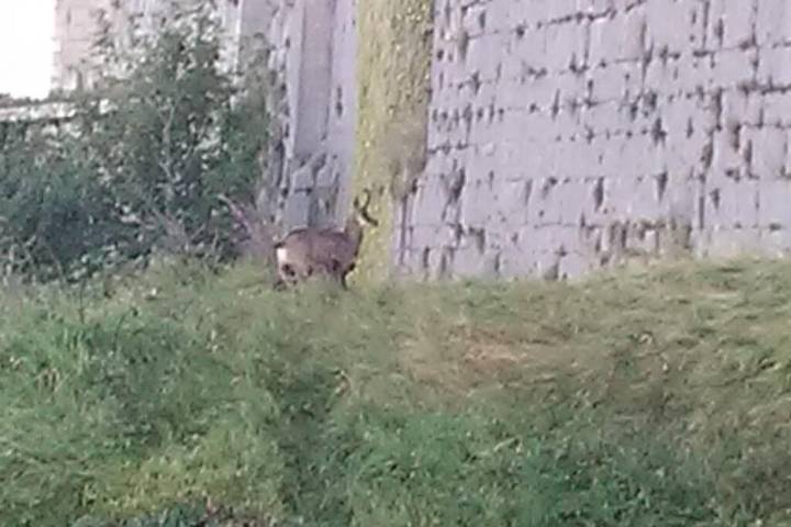 Gîte pour 2 personnes à Salins-les-Bains - 2